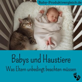 Babys und Haustiere - Was Eltern unbedingt beachten müssen